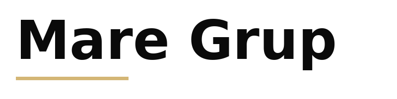 Mare Grup logo